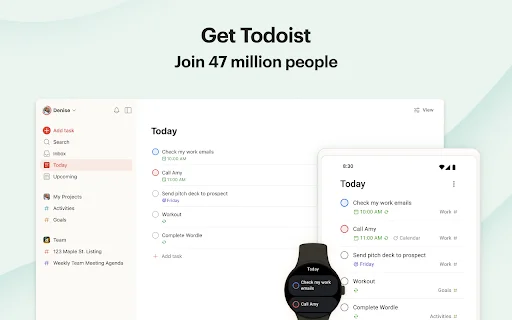 Download Todoist untuk Chrome – Kelola Tugas & Jadwal Anda - Screenshot 4